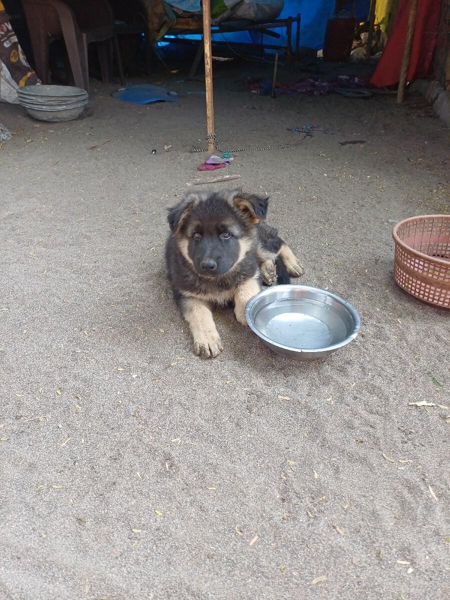 થંબનેલ 3