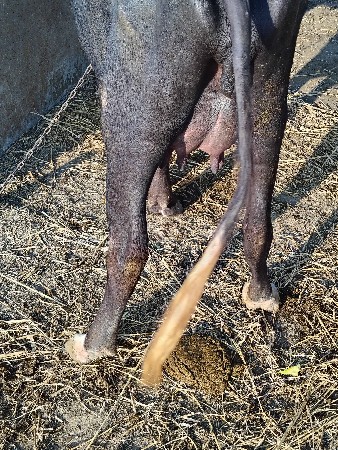 થંબનેલ 3