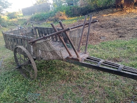 થંબનેલ 2