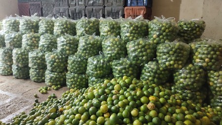 થંબનેલ 5