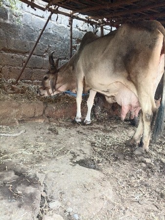 थंबनेल 2