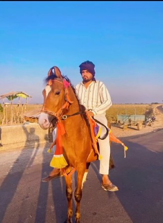 ઘોડો સે તણ વર્ષ નો સે