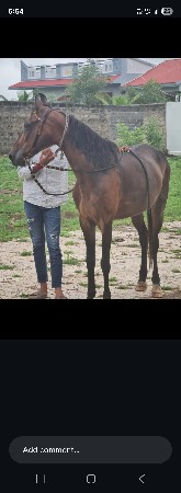 થંબનેલ 2