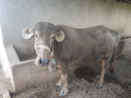 थंबनेल 3