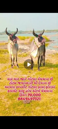 थंबनेल 3