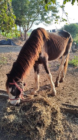 थंबनेल 2