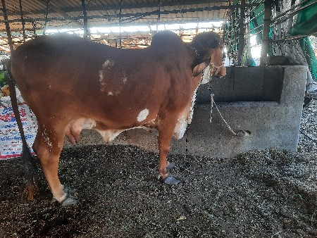 थंबनेल 3