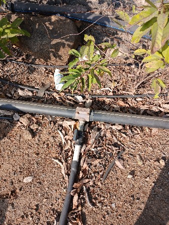 અઢીની લાઈન/નળવારો એકનો બંબો