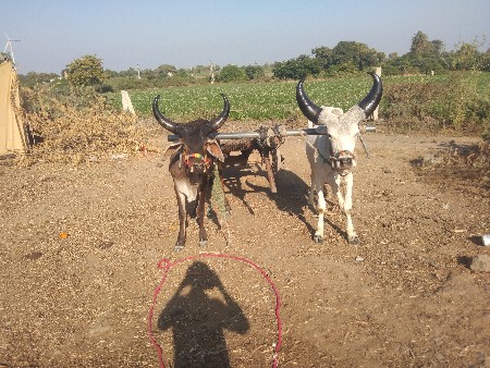 थंबनेल 3