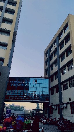 ઠાલી પાકળ ભેસૂ હોય તો કયો