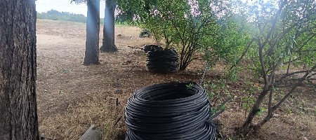 થંબનેલ 6