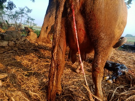 थंबनेल 3