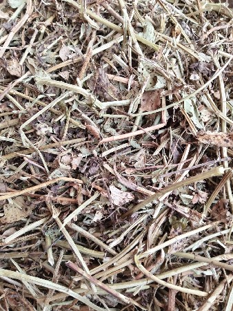 માંડવીયુ બેસવાનું છે.