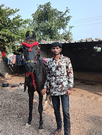 થંબનેલ 2