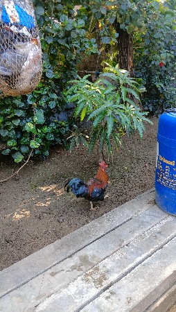 થંબનેલ 3