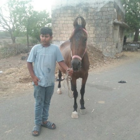 થંબનેલ 2