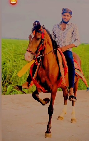 थंबनेल 2