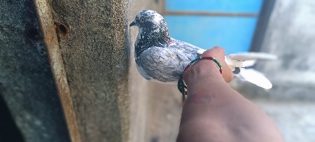 थंबनेल 2