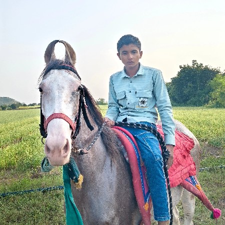 ધોડી વેસવાનીસે