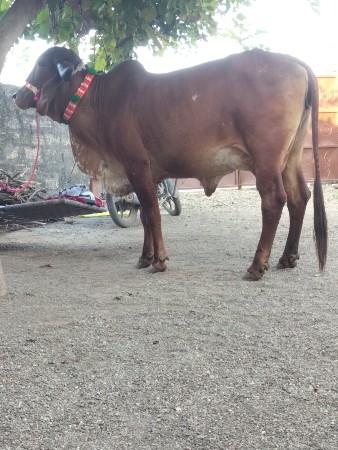 થંબનેલ 2