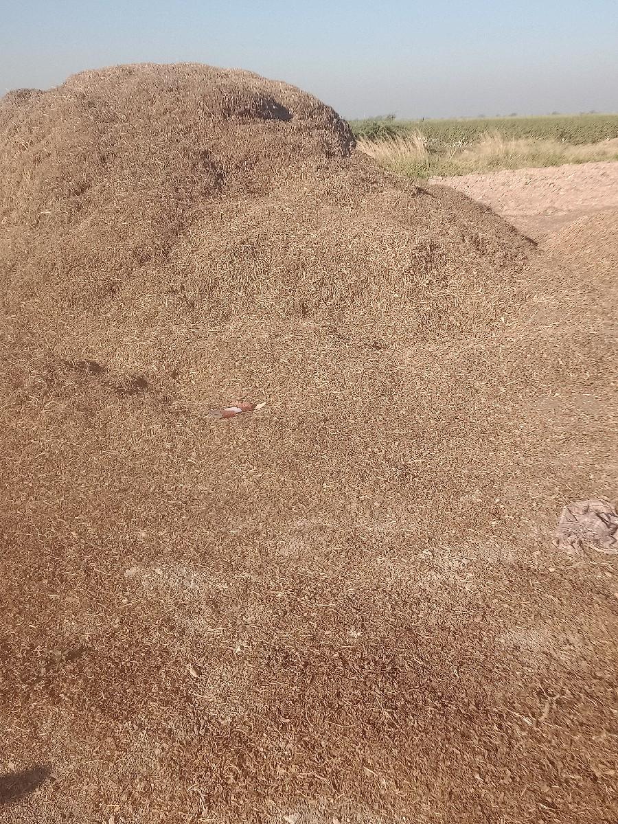 ભુકો વેશવા નો