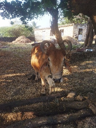 थंबनेल 3