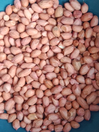 mandvi chhe 
22 nambar magfali 
mo.