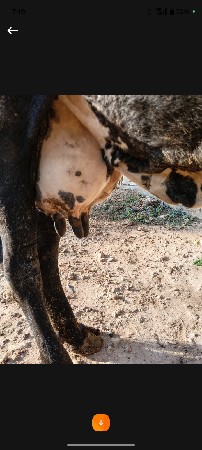 થંબનેલ 2