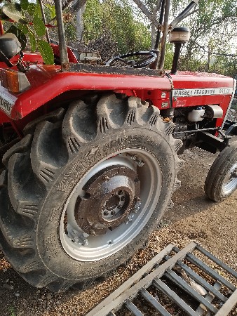 थंबनेल 3