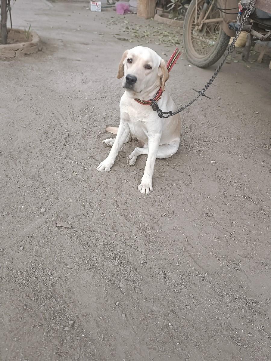 थंबनेल 3