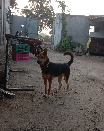 થંબનેલ 2