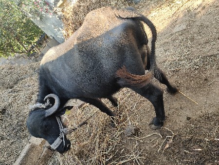 थंबनेल 2