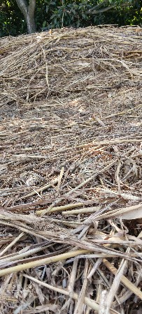 થંબનેલ 1