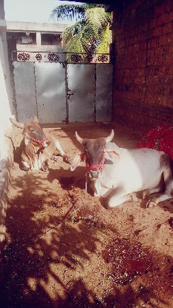 थंबनेल 2