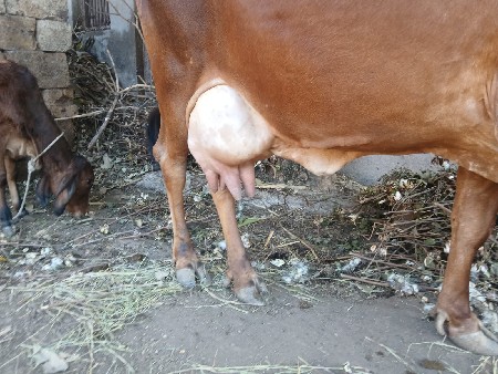 थंबनेल 3