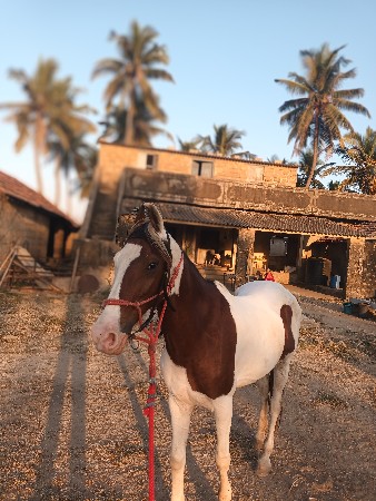 થંબનેલ 3