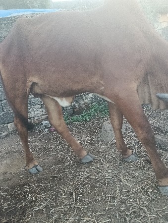 थंबनेल 2