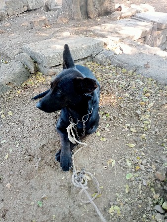 થંબનેલ 3