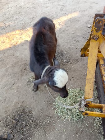 थंबनेल 3