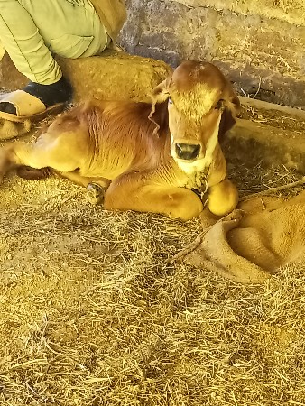 थंबनेल 2