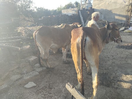 थंबनेल 3