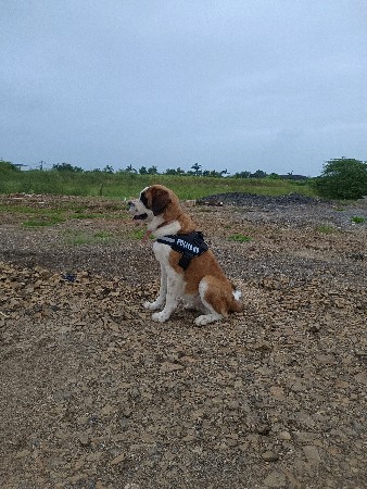 વેચવાની છે