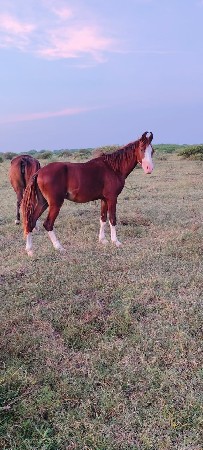 થંબનેલ 2