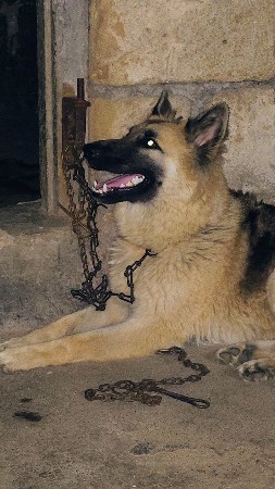 થંબનેલ 2