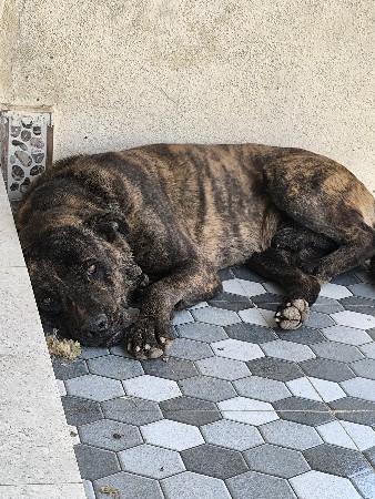 થંબનેલ 2