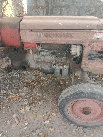 થંબનેલ 2