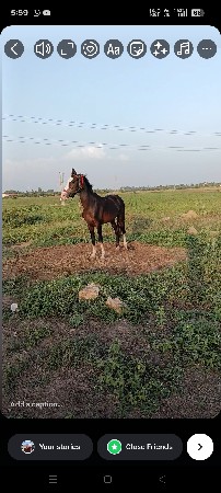 થંબનેલ 3