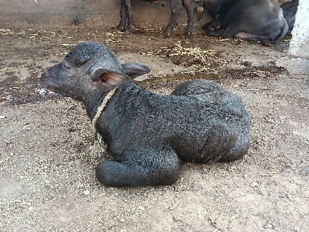 थंबनेल 2