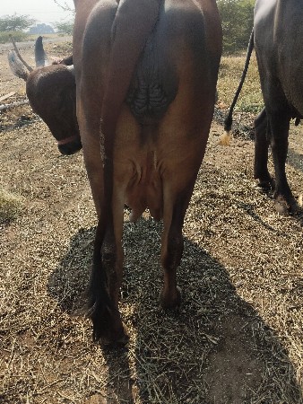 थंबनेल 2