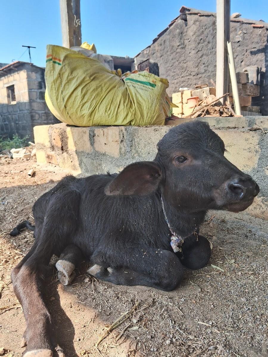 थंबनेल 2